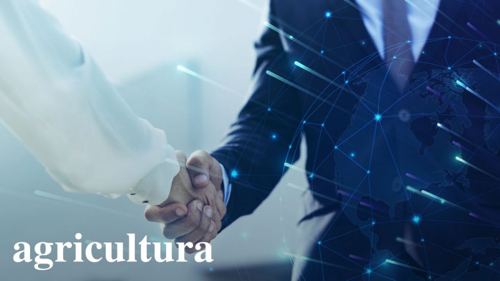 Plataforma licitaciones